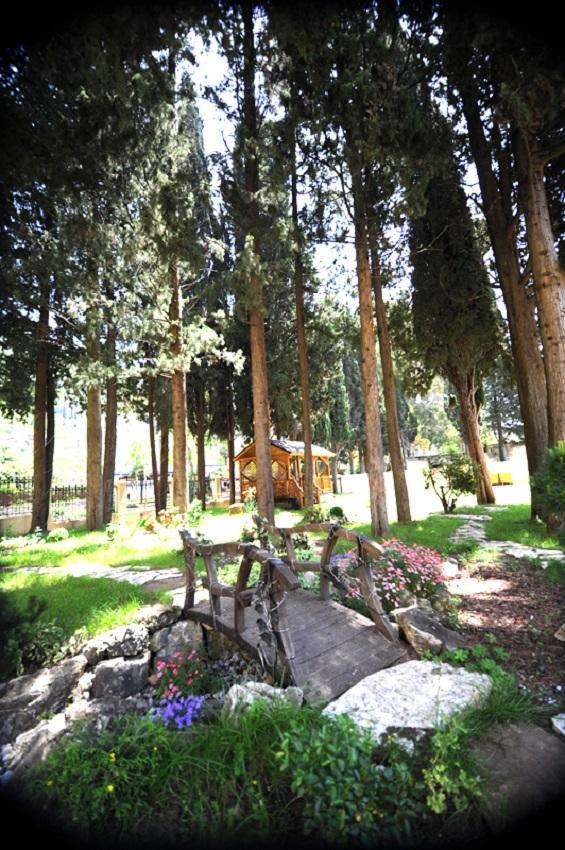 Hotel Lazurniy Bereg Gagra Exterior foto